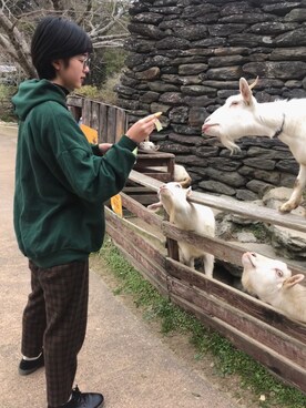 まどちんさんのコーディネート