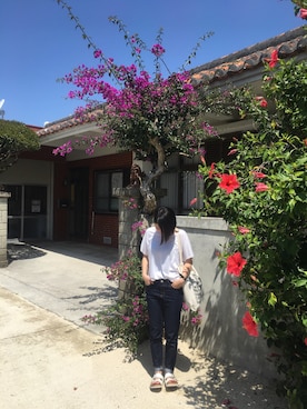 shimさんのコーディネート