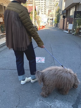 「CONVERSE（コンバース）のconverse（コンバース） ALL STAR OX（オールスターOX）（スニーカー）」を使った、TheTENTさん（レディース・160cm）の冬コーディネート