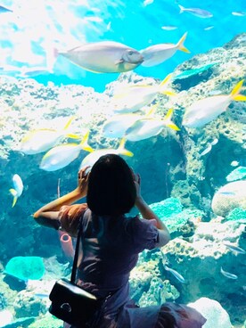 みゅうさんのコーディネート