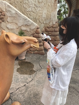 「FREE STYLISTS（フリー スタイリスト）のアイテム」を使った、うるりらさん（レディース・161cm）の夏コーディネート