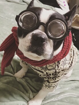 黑宝宝331さんのコーディネート