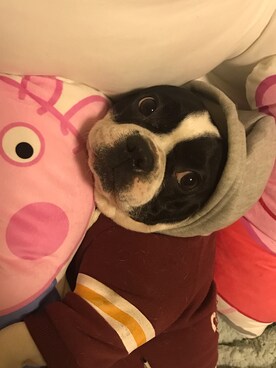 黑宝宝331さんのコーディネート