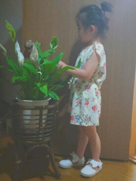 ayuさんのコーディネート