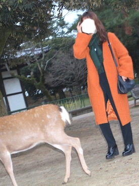 カトウさんのコーディネート