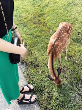 ユイさんのコーディネート