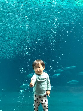 KIPchanさんのコーディネート