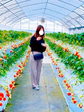 「CONVERSE（コンバース）のconverse（コンバース） ALL STAR OX（オールスターOX）（スニーカー）」を使った、ka__raさん（レディース・155cm）の冬コーディネート