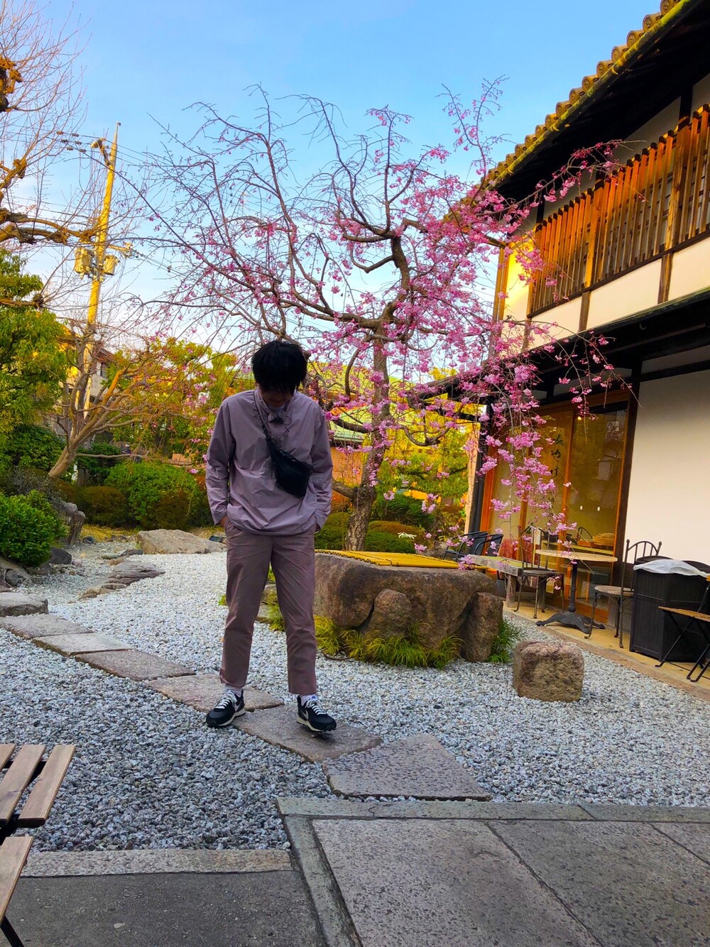 「春カラー、休日スタイル、カラーパンツ、春、お花見、桜、ファッションの力を信じよう、フォローミー、相互フォロー、スニーカーコーデ」｜「AURALEEのアイテム（ナイロンジャケット、ピンク系）」を使った、takumix0102さん（メンズ・175cm）の春コーディネートの1枚目の写真