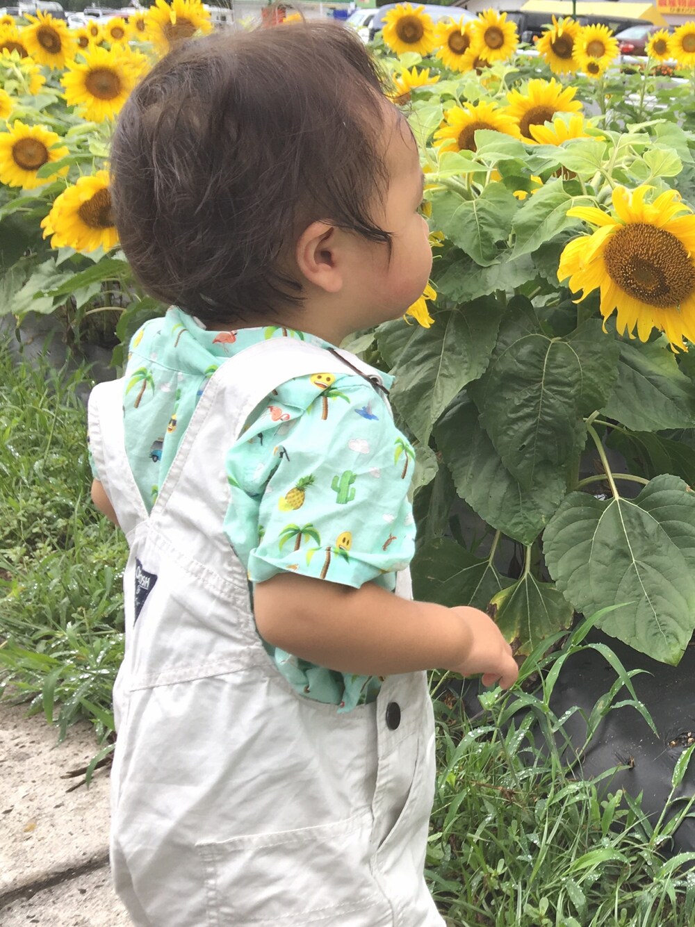 「ひまわり、オシュコシュ、サロペット、一歳、80cm、おでかけ、おとこのこ、ZARA KIDS、白、夏休み」｜「ZARAのアイテム（シャツ/ブラウス、グリーン系）」を使った、さきちゃんさん（キッズ・80cm）の秋コーディネートの1枚目の写真