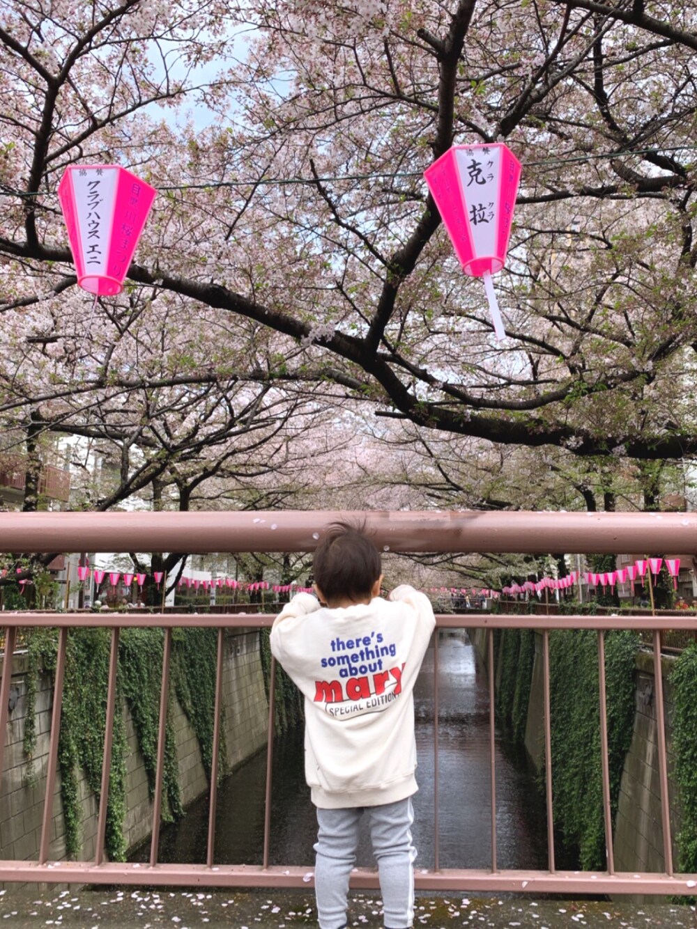 「キッズファッション、スウェット、レギンス、1歳、男の子コーデ、桜、プチプラ、韓国子供服、春コーデ、シンプル」｜「セレクトショップのアイテム（スウェット、ホワイト系）」を使った、さきちゃんさん（キッズ・90cm）の春コーディネートの1枚目の写真