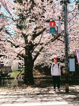 「SSUR（サー）のアイテム」を使った、EVZ アホさん（メンズ・178cm）の春コーディネート