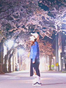 ワンピースを使った 夜桜 のレディースコーディネート一覧 Wear