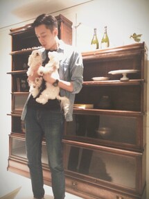 UNIQLO | シャツ/ブラウス