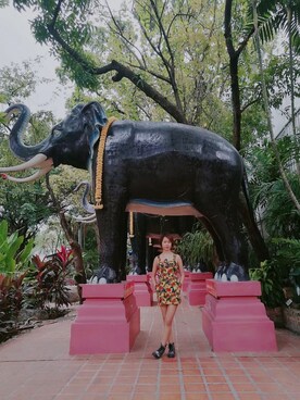 Mssundayさんのコーディネート