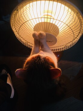 虾米子さんのコーディネート