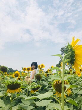 虾米子さんのコーディネート