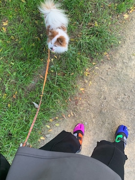 Junna さん（レディース・165cm）の秋コーディネート