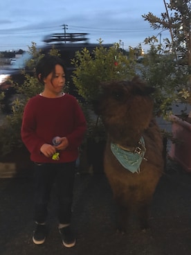 @rikuyuichanさん（キッズ・120cm）の冬コーディネート