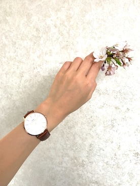 田中セシル⋆CecilTanakaさんのコーディネート