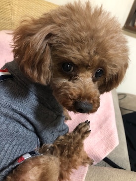 素さんのコーディネート