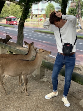 ダイさんのコーディネート