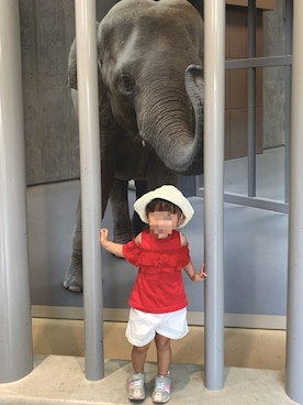 おまちゃんさんのコーディネート