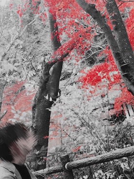 あき(相互よろしくです)さんのコーディネート