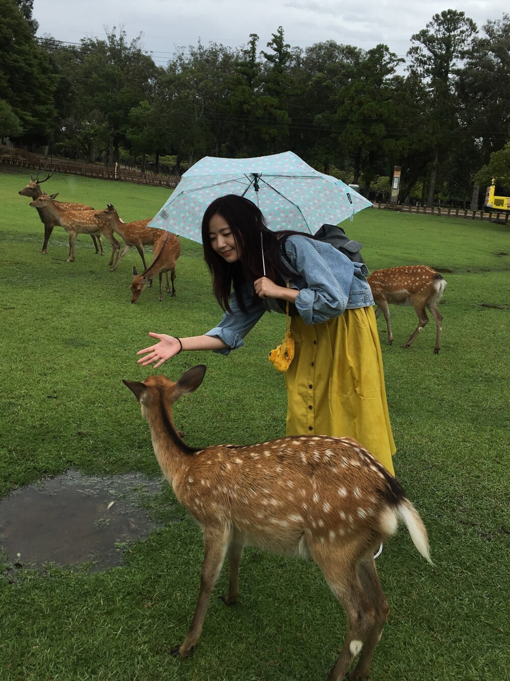 「Japan、Nara」｜「Disneyのアイテム（コインケース、イエロー系）」を使った、Chantalさん（レディース・161cm）の夏コーディネートの1枚目の写真