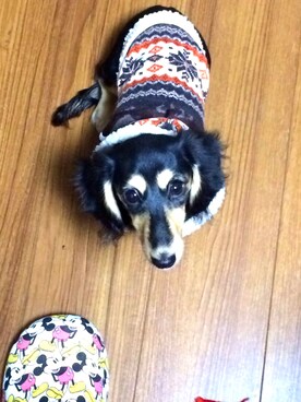 KinAk0-興奮丸-さんのコーディネート