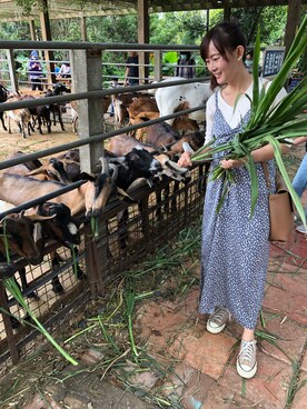 Cheng Fang Hsiehさんのコーディネート