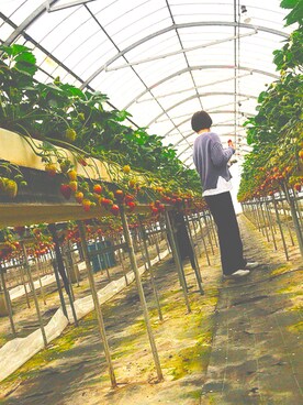 ろんさんのコーディネート