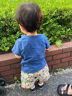 ぷしゅさんのコーディネート