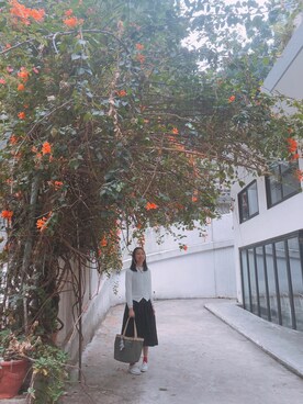 「UNIQLO（ユニクロ）のアイテム（トップス、ホワイト系）」を使った、つきの うさぎさん（レディース・162cm）の春コーディネート