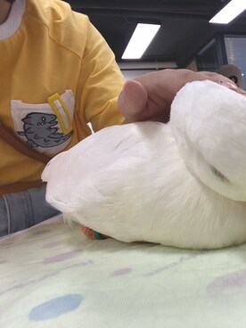 リタ停更了さんのコーディネート