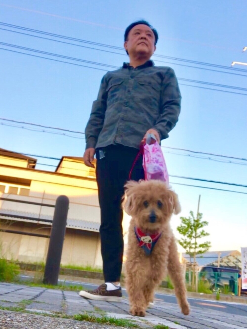 「メイサイ柄、やや復活、ZARA、UNIQLO、united arrows、動物病院前より」｜「元気になって良かったな💖💖💖のアイテム（福袋/福箱、ゴールド系）」を使った、かつさん（メンズ・174cm）の春コーディネートの1枚目の写真