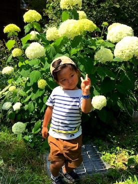 ペッキーさんのコーディネート