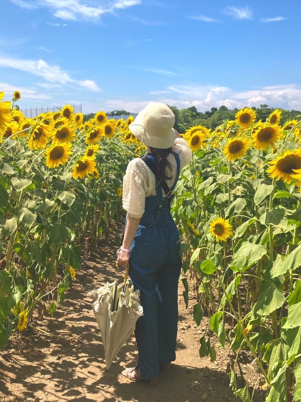 「夏の思い出、ひまわり畑、greenparks」｜「Green　Parksの【予約】・SUGAR SPOON デニムレースアップサロペット（オールインワン・サロペット、ブルー系）」を使った、しずしずぱんださん（レディース・156cm）の秋コーディネートの1枚目の写真