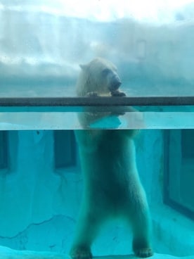 パーティピッグさんのコーディネート