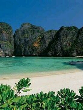 Fwt Gさんのコーディネート