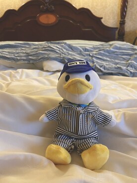 Cccさんのコーディネート