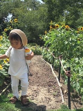 「ひまわり」｜「アイテム（その他）」を使った、aoさん（キッズ・80cm）の夏コーディネート