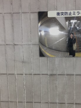 沙悟浄さんのコーディネート