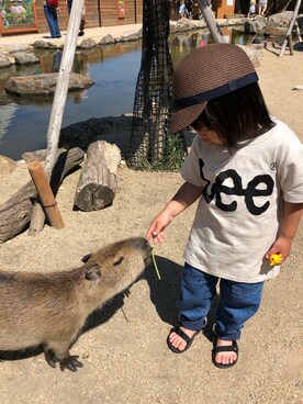 hikariさんのコーディネート