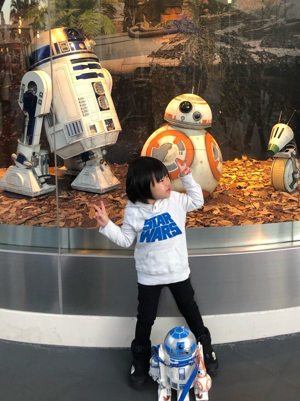 「カジュアル、男の子コーデ、4歳、スターウォーズ、ブランシェス branshes、ノースフェイス」｜「GROOVY COLORSのアイテム（パーカー、ブルー系）」を使った、hikariさん（キッズ・90cm）の冬コーディネートの1枚目の写真
