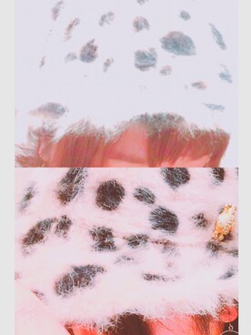 ちゃんさきさんのコーディネート