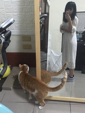 acidさんのコーディネート