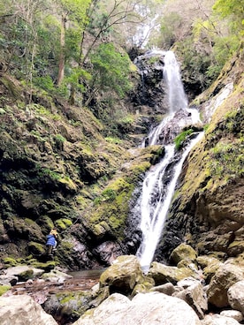 maikoさんのコーディネート