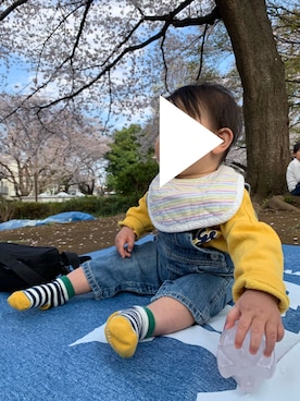 ponkaさんのコーディネート