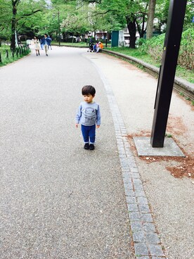 ハルボーさんのコーディネート